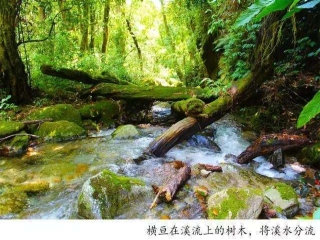 騰沖戶外徒步丨林家鋪，剛好18°C